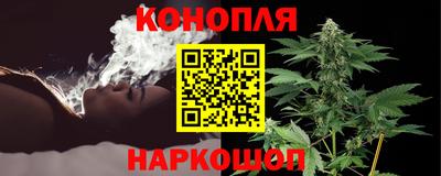 дмт Пенза